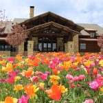 Construction Underway at TPC Colorado’s Newest Dining Option