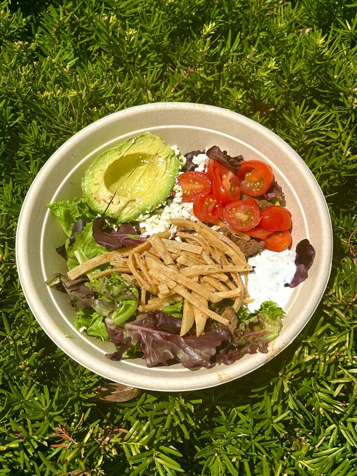 Mezeh Moving into Stafford