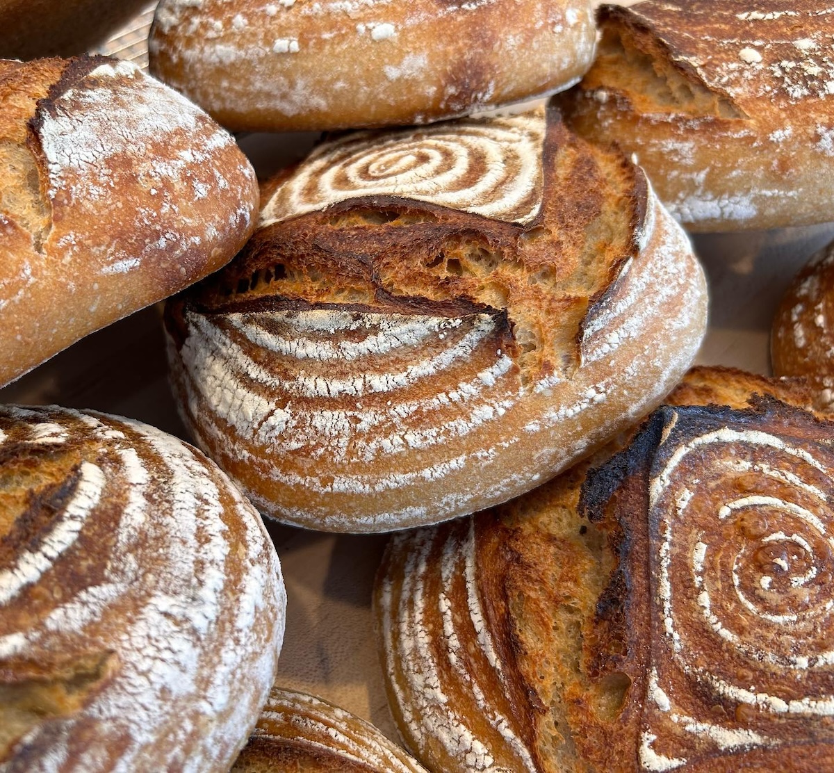 A New Bakery Coming to Lafayette