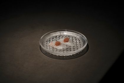 TOKYO’S UDATSU SUSHI DEBUTS IN HOLLYWOOD AS AN EXCLUSIVE EIGHT-SEAT OMAKASE