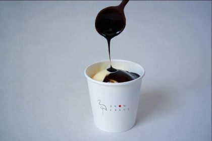 Snow Crane Winging into Hyattsville