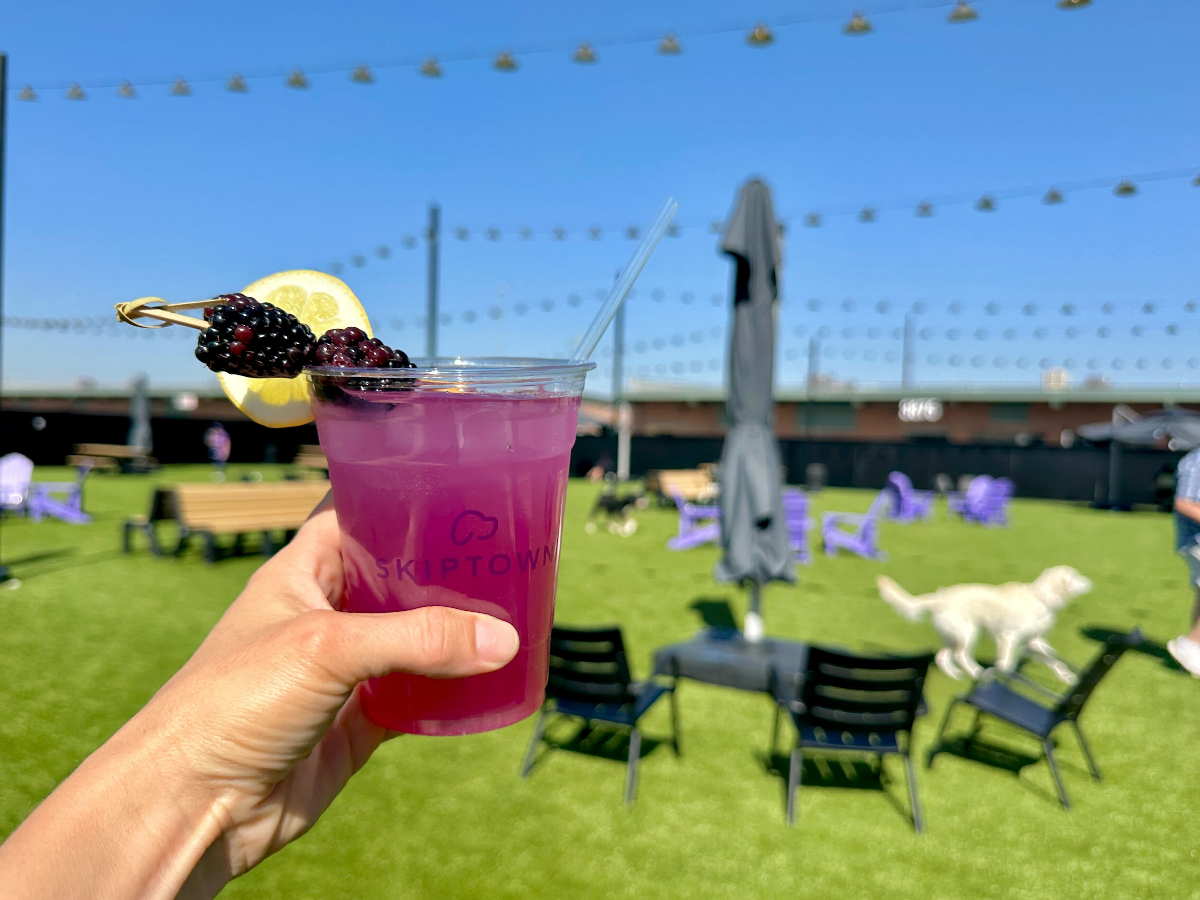 Denver’s Largest Off-Leash Dog Bar, Park and Pet Care Facility Opens October 4