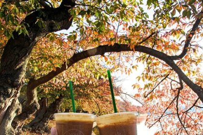 Greenheart to Relocate its Ballston Juices