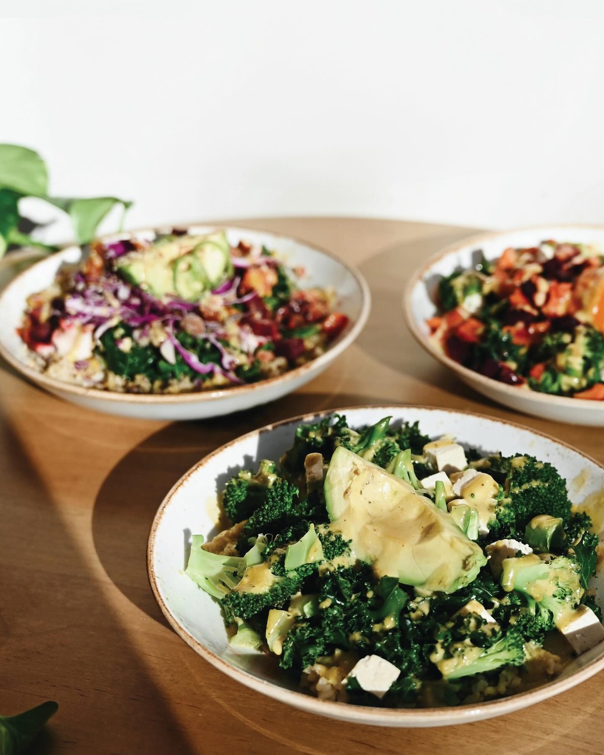 Life Alive Organic Cafe Bringing Healthy Eats to DC