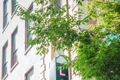 Local on Main Street Temporarily Shuts Down for Rebranding