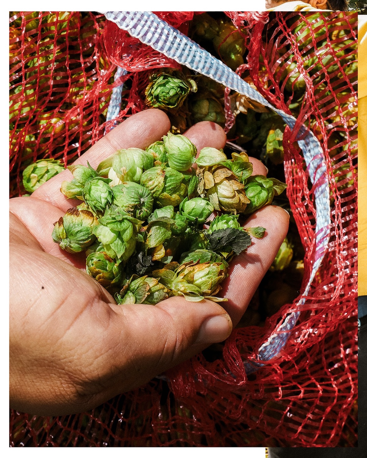 Calicraft Brewing Co. Acquires Heretic Brewery and Distillery