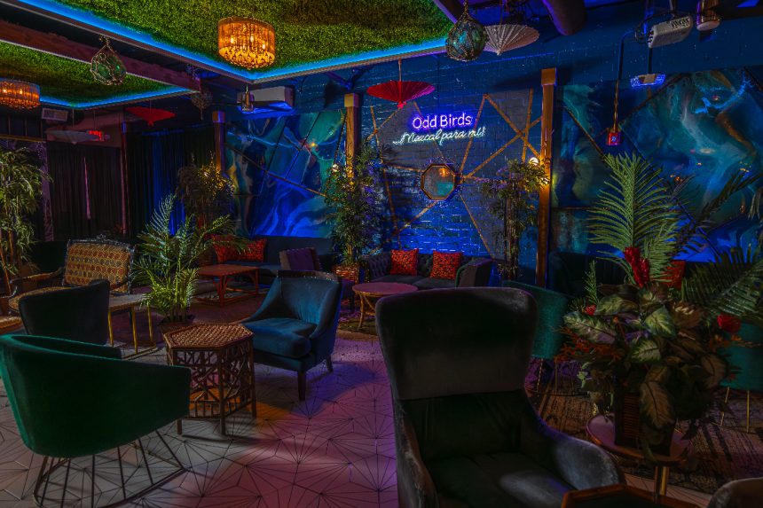 The Masterminds Behind Odd Birds Open Charlotte 33 Speakeasy