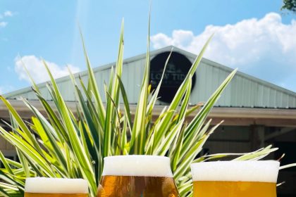 Low Tide Brewing Announces More Details about Johns Island Expansion