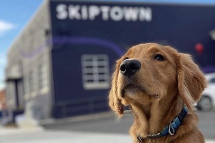 Pet Services Now Available to Book at Skiptown