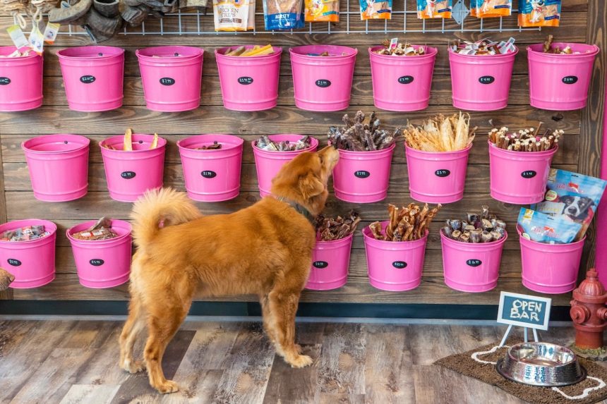 Woof Gang Bakery & Grooming Planned for Braselton