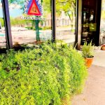 Georgetown's Marker 42 Cantina to Reopen as Alfresco Bistro