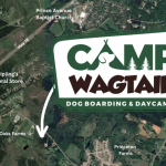 Camp Wagtail Aims to Rethink Dog Boarding Photo 01