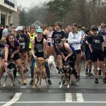 Run with the dogs 5K and Pop Trot 2025