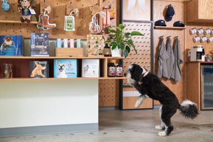 Yardstick to Open Premier Boutique Dog Hotel in Dallas Design District this February