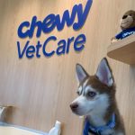 New Vet Clinic Proposed for Midtown