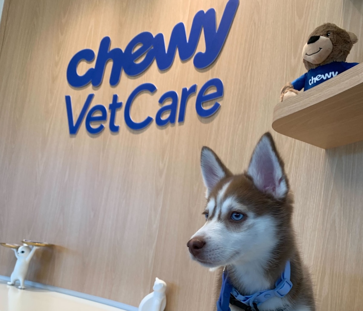 New Vet Clinic Proposed for Midtown
