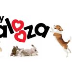 Puppy Palooza 2025 will be celebrating National Puppy Day