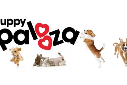 Puppy Palooza 2025 will be celebrating National Puppy Day