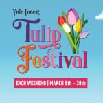Yule Forest Tulip Festival 2025 will happen starting on March 8