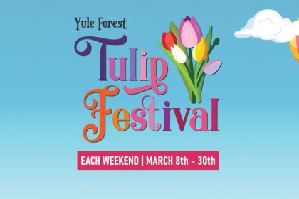 Yule Forest Tulip Festival 2025 will happen starting on March 8