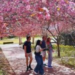 Atlanta Botanical Garden is Decked up for Garden Party