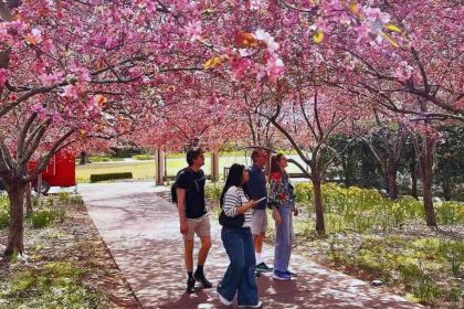 Atlanta Botanical Garden is Decked up for Garden Party