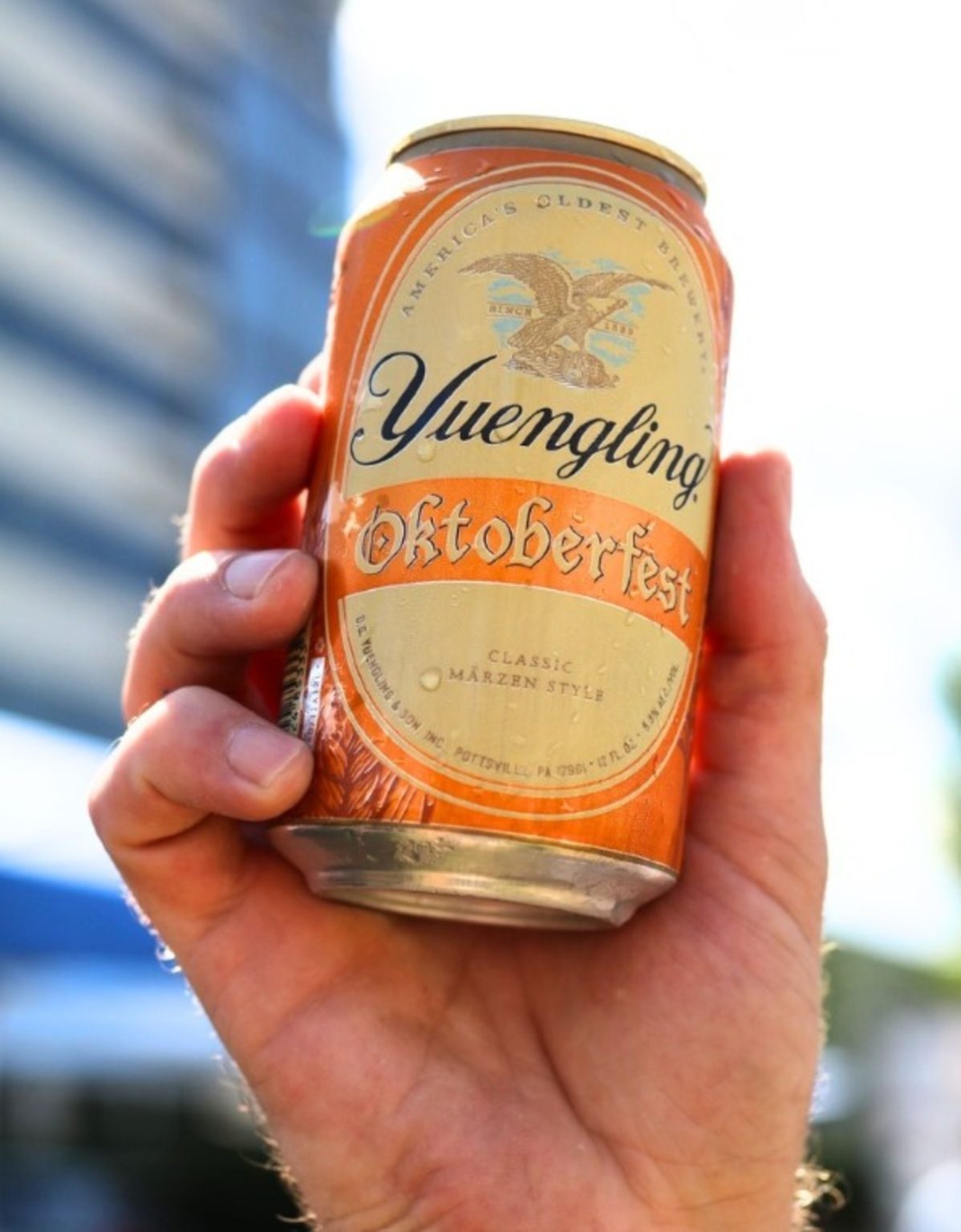 Reston Brats n Beers Bringing German Flavor to DMV