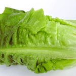 E. coli outbreak in the U.S.