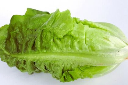 E. coli outbreak in the U.S.