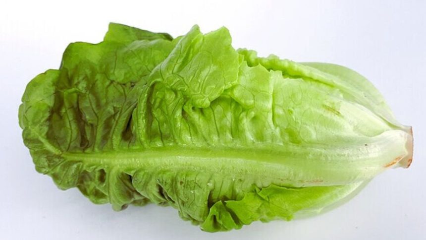 E. coli outbreak in the U.S.
