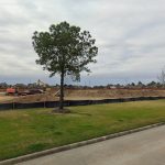 New Concept Chickini Broast Chicken Permitted For Cypress