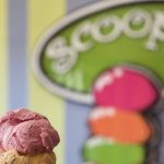 Scoops Is Finding A Home In Fulshear-1
