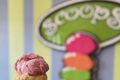 Scoops Is Finding A Home In Fulshear-1