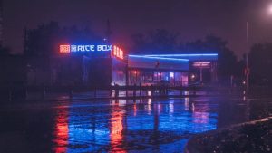 The Rice Box Is Bringing Bold Flavors To Webster-1