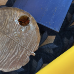 New Queer-Owned Wine Bar Aims to Bring People Together in Cambridge