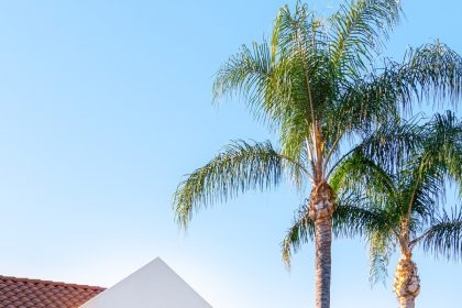 In-N-Out Working on New Surprise Location