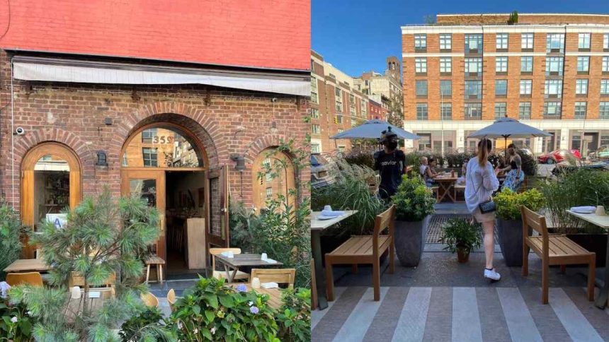 Llama San, which garnered immense love from the residents and visitors of New York, has announced its closure.