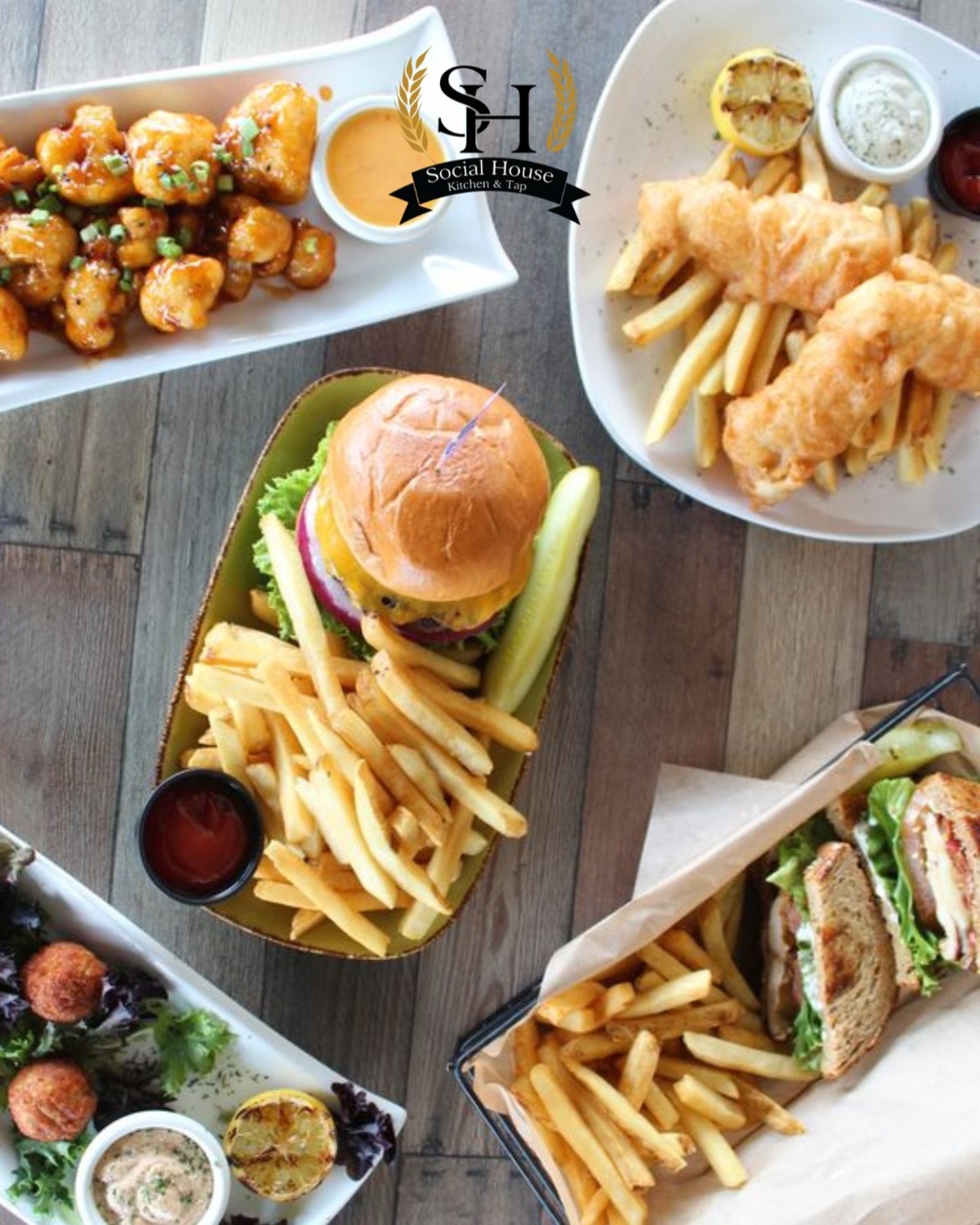 Social House to Feed Visitors on the Move