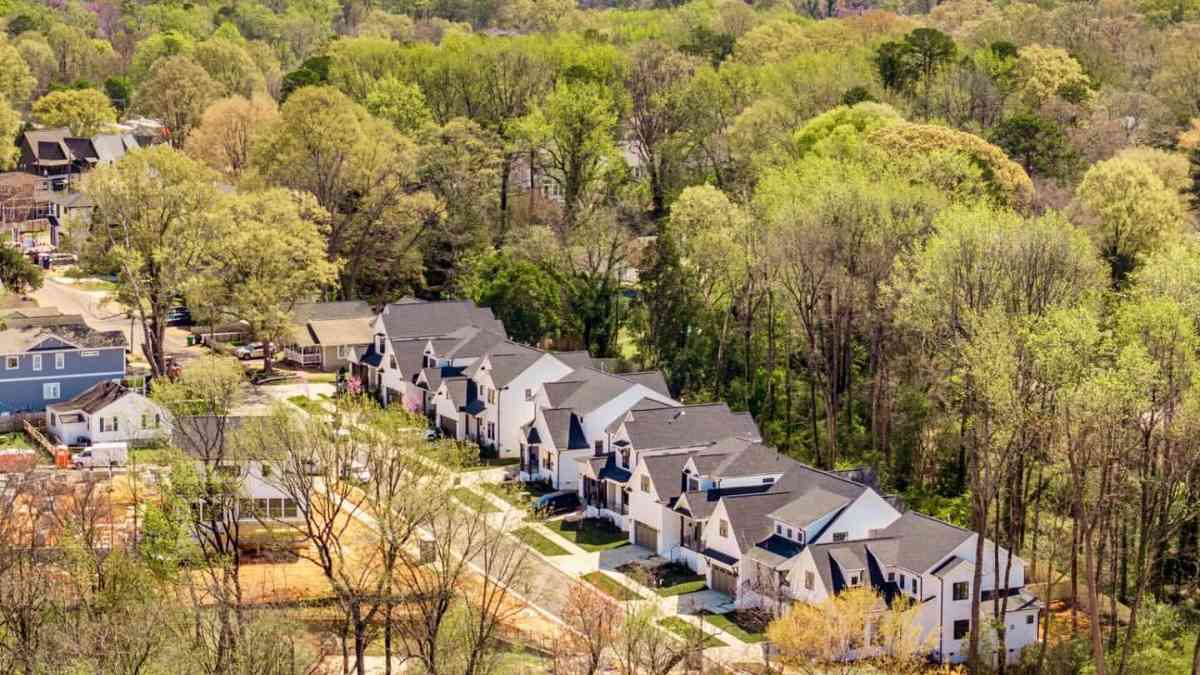 Enderly Park Project