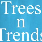 Trees n Trends to close all six locations soon