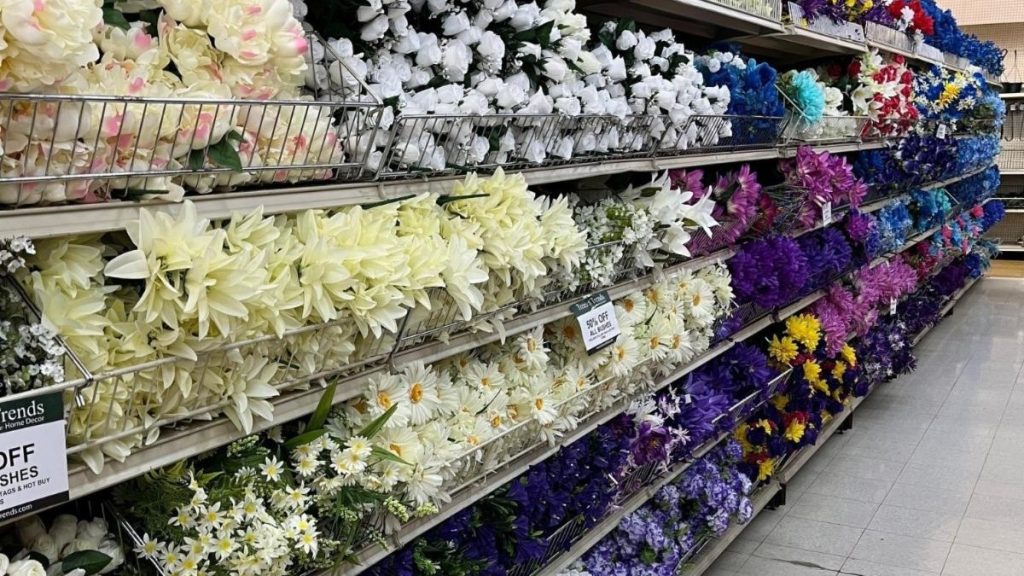 Trees n Trends to close all six locations soon