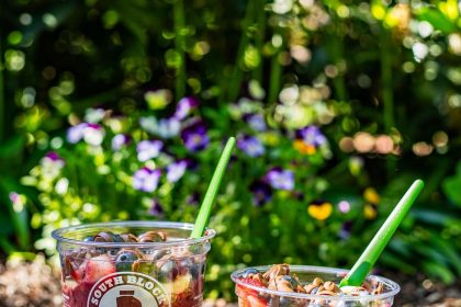 South Block Readies for Next DMV Act