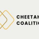 Three Local Beer Brands Come Together