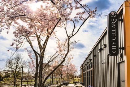 Houston Restaurateurs Brave Storm to Connect at What Now’s Accelerate Event