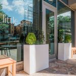 Little Gem and Pizza Stop