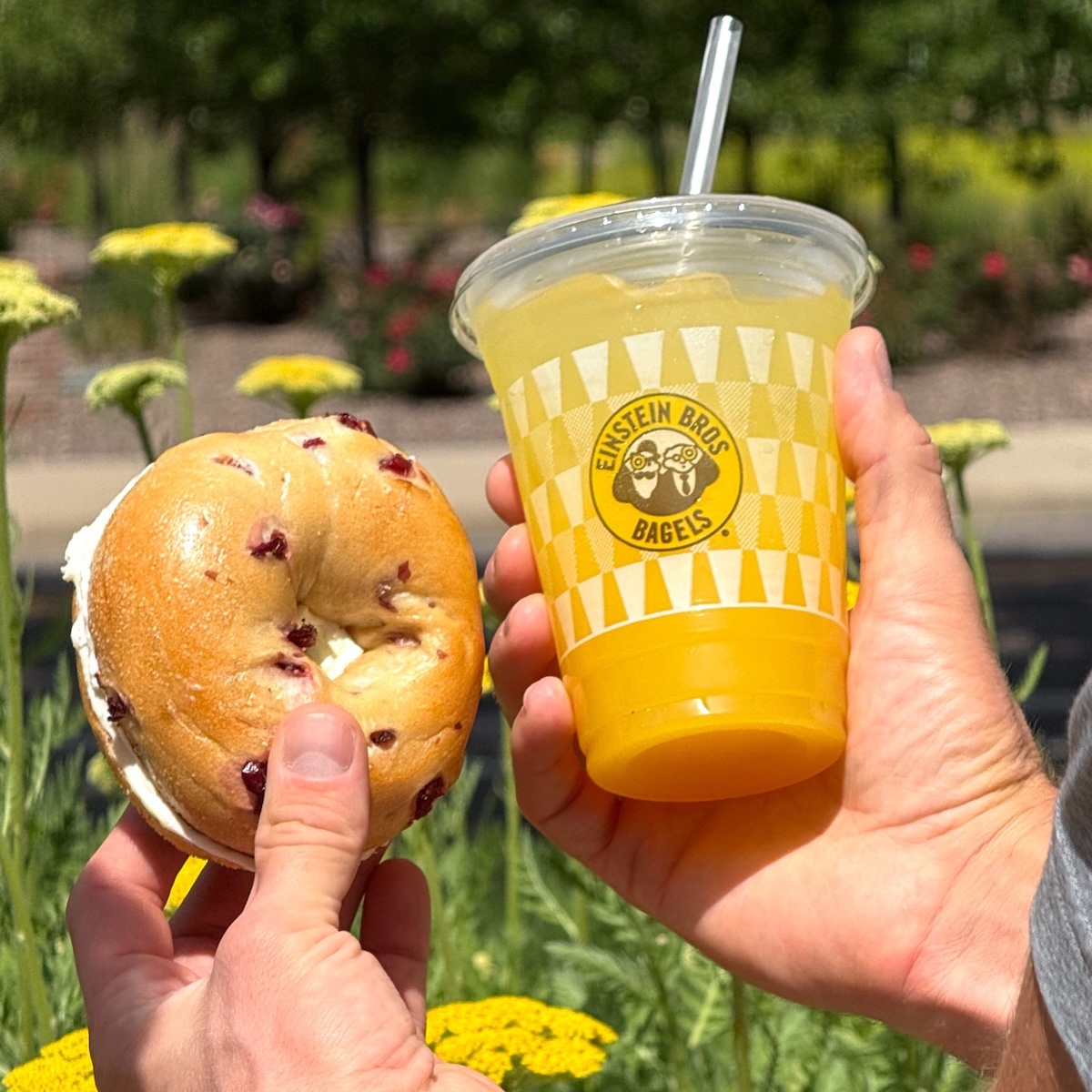 Einstein Bros. Bagels Setting Up New Location In League City-2