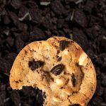 Insomnia Cookies to Sweeten Tarrant County