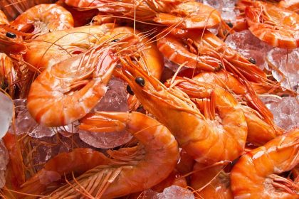 FDA issues public warning against consumption of imported frozen shrimp