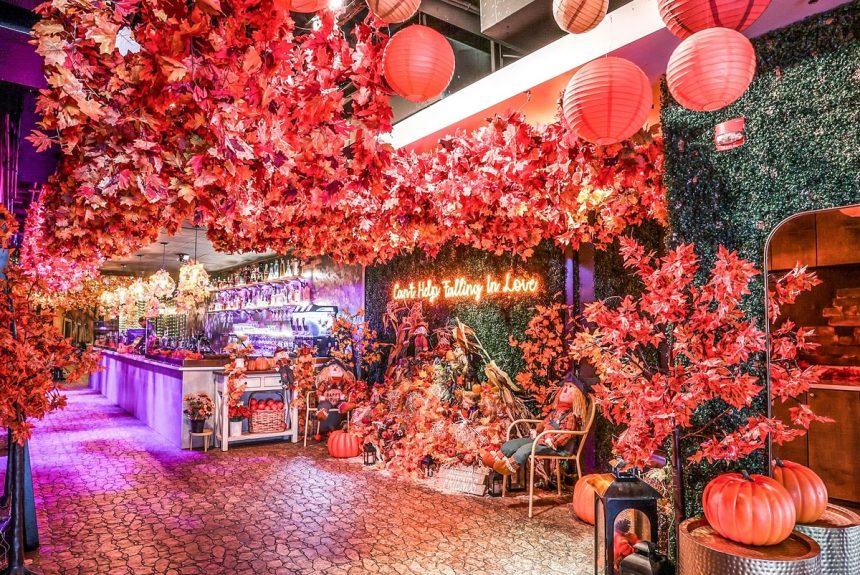 Urban Roast Nearing The Wharf Debut