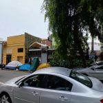 Berkeley Gaining a New Dining Concept This Autumn